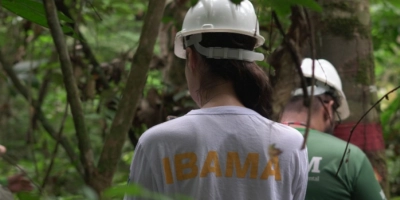 Norma reorganiza atuação do Ibama e ICMBio em Planos de Manejo Florestal Sustentável Comunitário