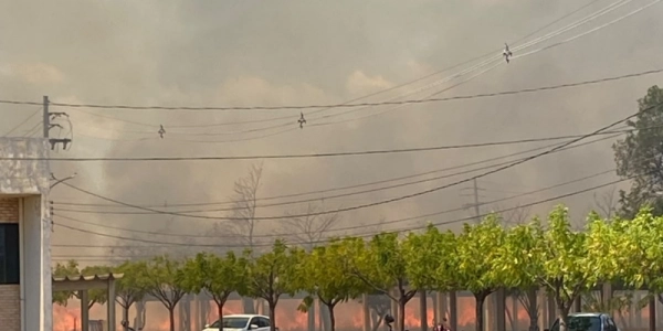 Incêndio atinge área da UFCG em Sousa e mobiliza Corpo de Bombeiros nesta quarta-feira