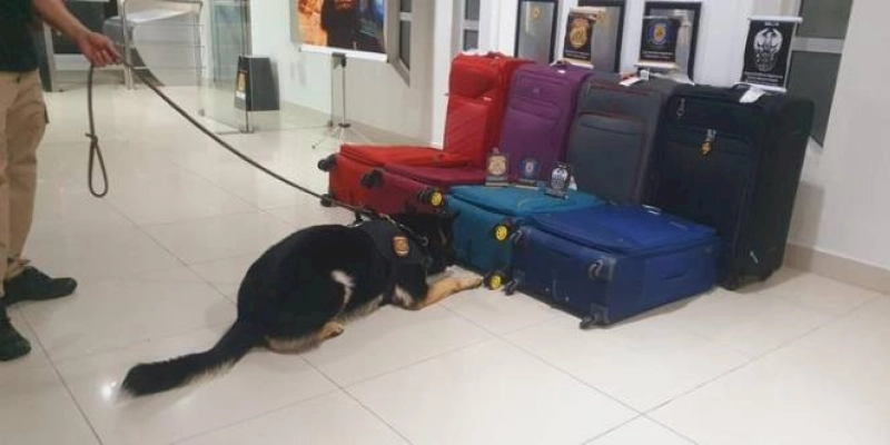Polícia Federal prende oito por tráfico internacional de drogas