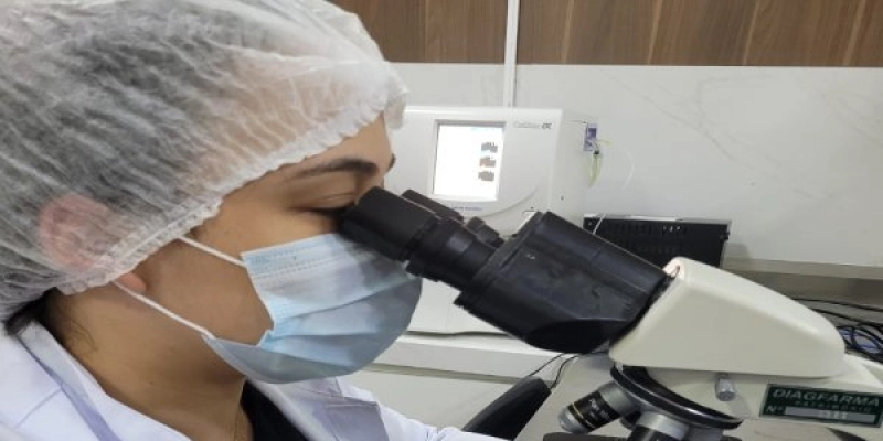 Perfil da pós-graduação muda no país em 25 anos