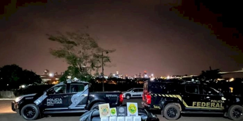 PF e BPFRON apreendem 100 litros de agrotóxicos contrabandeados