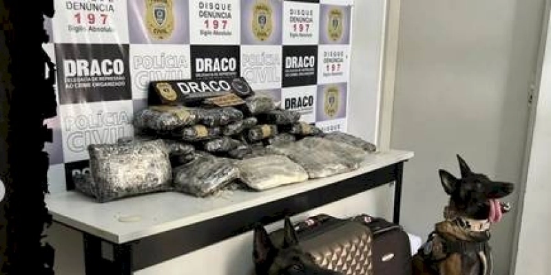 Ação conjunta entre PRF e DRACO apreende 20 kg de supermaconha avaliada em mais de meio milhão de reais