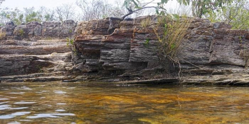 Indústria brasileira participa da COP15 e defende metas para a biodiversidade