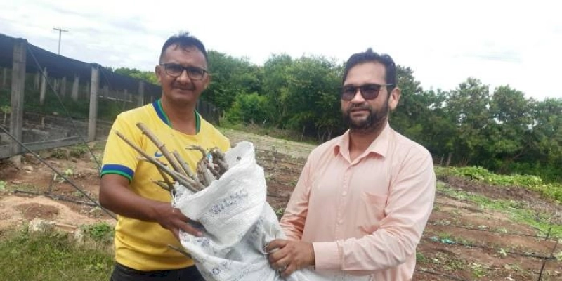 Prefeitura de Marizópolis e IFPB firmam parceria com a EMPAER e lançam incentivo ao cultivo de mandioca