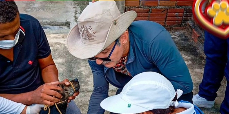 Prefeitura de Aparecida segue realizando monitoramento e prevenção da Leishmaniose Visceral Canina 