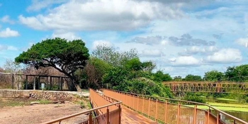 Vale dos Dinossauros tem novos horários para visitas guiadas