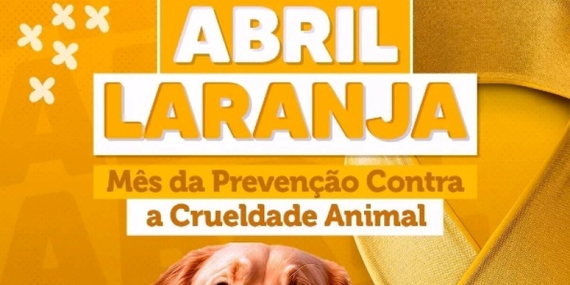 Prefeitura de Aparecida adere ao Abril Laranja mês de prevenção contra a crueldade animal 