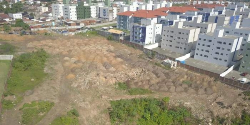 Semam disponibiliza novos canais de denúncias de crimes ambientais