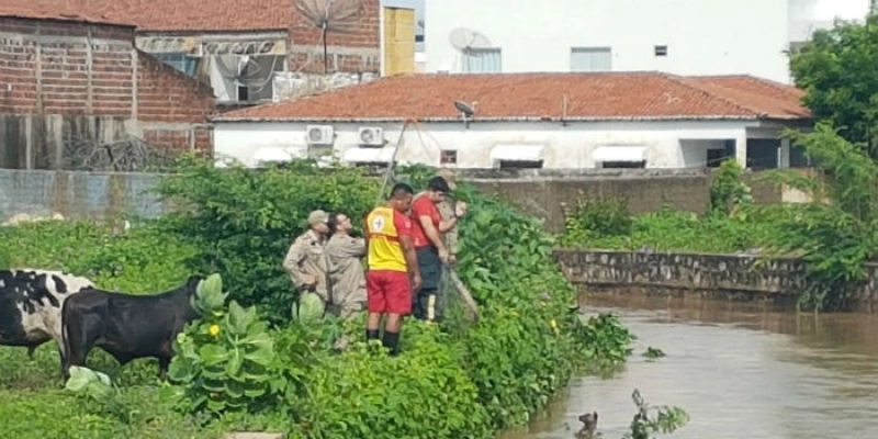 Bombeiros resgatam animal do canal do estreito em Sousa