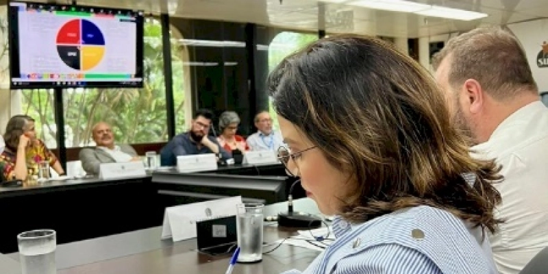Segundo a agenda, Pollyanna Dutra tem reuniões no Ministério do Desenvolvimento Social e no Ministério de Trabalho e Emprego 