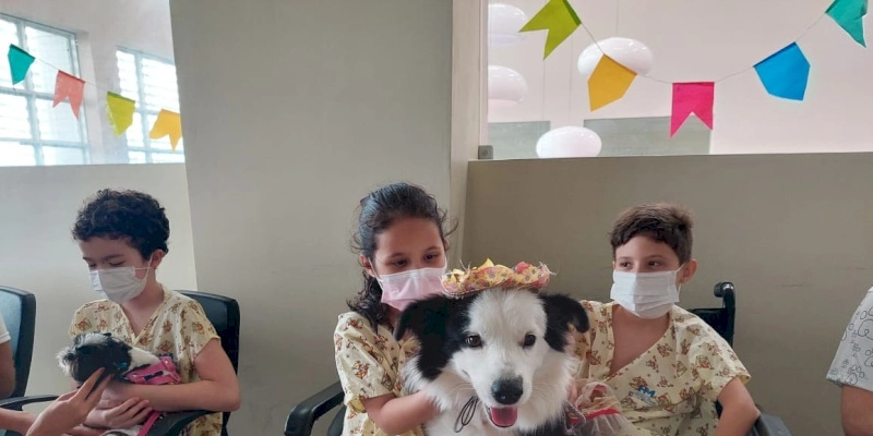 Hospital Metropolitano inicia terapia com cães para auxiliar no tratamento dos pacientes