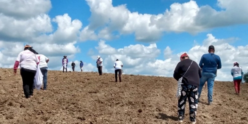 Famílias do Projeto Agrovila Águas de Acauã iniciam cultivo de roçado coletivo