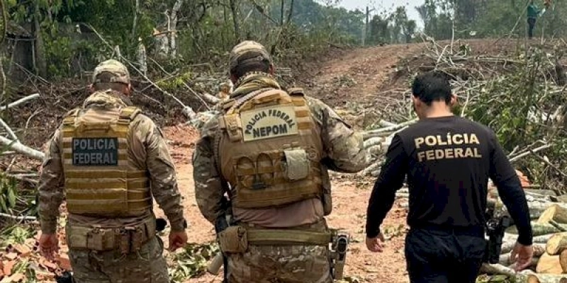 PF e PRF prendem em flagrante homem por transporte de madeira ilegal