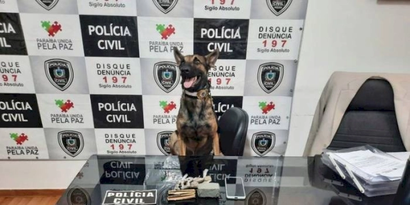 ‘KAIRO’: Polícia Civil prende quatro investigados por tráfico de drogas e invasão de imóveis na Paraíba