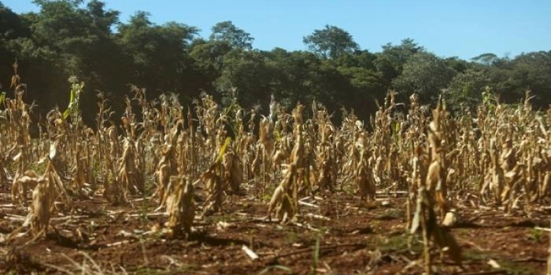 MIDR reconhece situação de emergência em 19 cidades paraibanas que enfrentam a estiagem