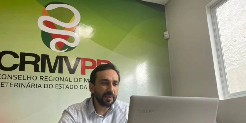 CRMV-PB aprova projeto de castração de cães e gatos de João Pessoa