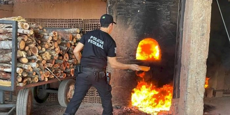 Polícia Federal realiza ação de incineração de drogas