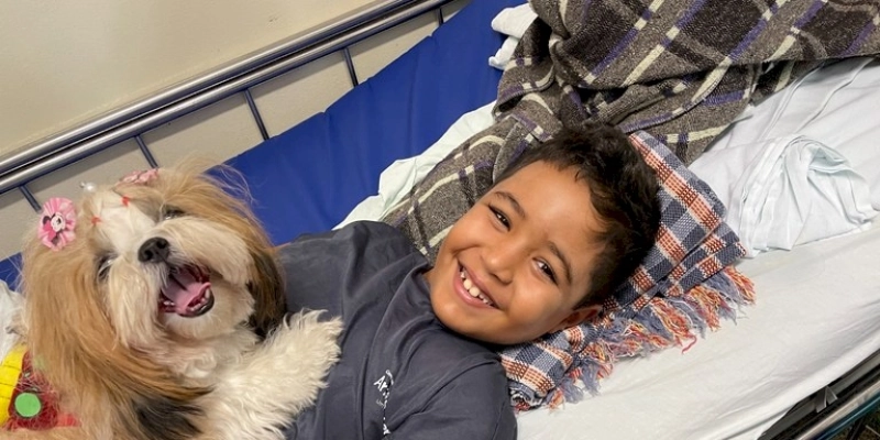 Hospital Arlinda Marques inicia terapia com animais para crianças internadas