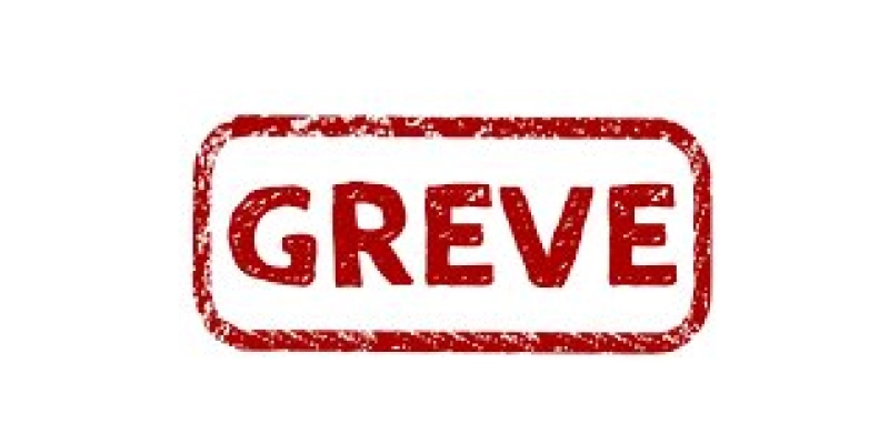 Servidores federais ambientais iniciam greve