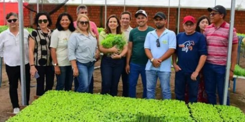 Pollyanna destaca importância da agricultura familiar para a PB: “Não há outro desenvolvimento econômico tão eficaz que a gente consiga atingir tanta gente como o campo”