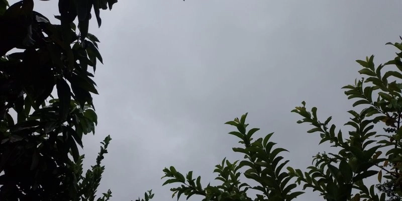 Todas as cidades da Paraíba entram em alerta de vendaval a partir de amanhã  (31)