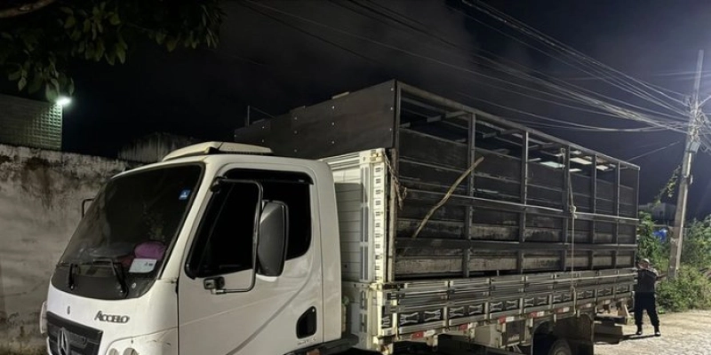 ‘GADO DE OURO’: Polícia Civil recupera 37 cabeças de gado furtadas em cidades do interior paraibano