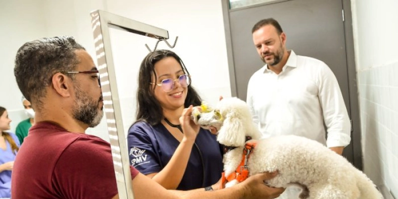Hospital do Pet realiza mais de mil atendimentos em pouco mais de um mês de funcionamento
