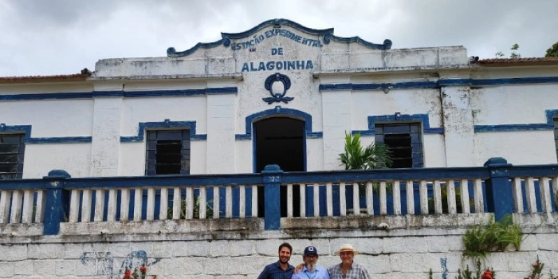 Leilão de bovinos da Empaer atrai atenção de criadores de Goiás