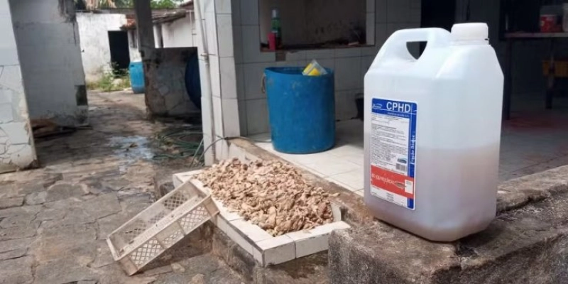 Fábrica clandestina de linguiças na PB usava corantes e temperos para mascarar mau cheiro, diz fiscal