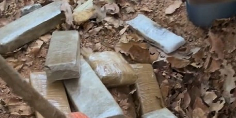 DRACO realiza grande apreensão de drogas na zona rural de Pombal