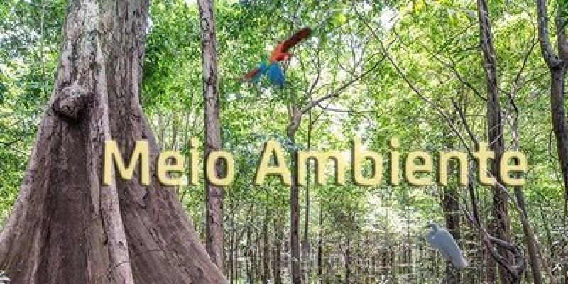 MPF ajuíza ação para garantir proteção de reserva extrativista entre Pernambuco e Paraíba