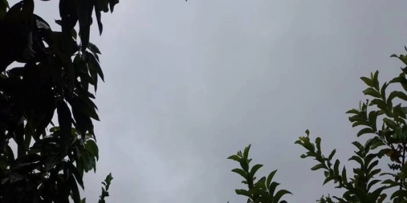 Sábado (07) com alerta para vendaval e ventos costeiros no Nordeste