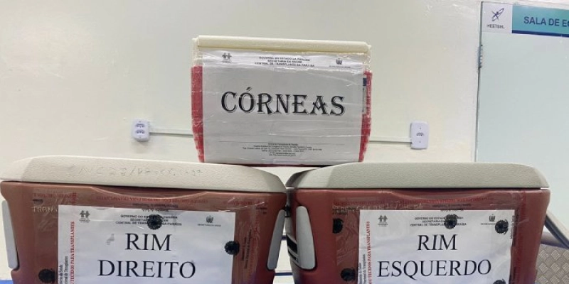 Setembro Verde: Paraíba registra aumento de 20% em transplantes de órgãos