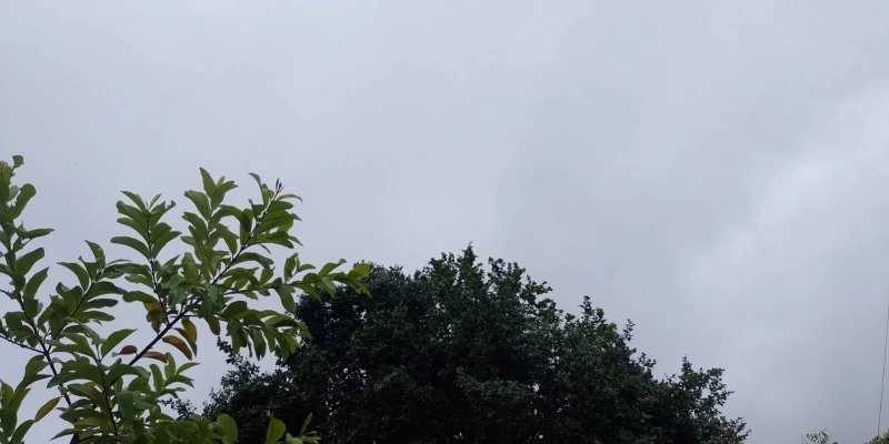 Nordeste terá sábado (14) de chuva isolada no litoral de alguns estados