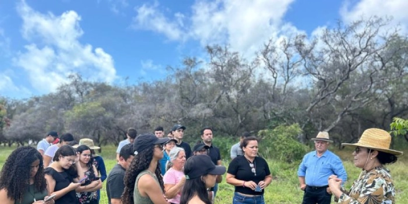 Alunos da UFPB visitam Empaer para conhecer pesquisas sobre frutas e hortaliças