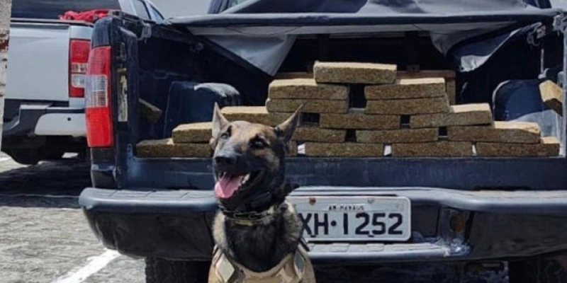 Polícia Civil apreende quase 20 quilos de maconha dentro de veículo