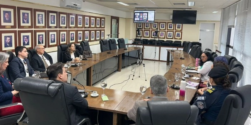 MP, TJ e Executivo discutem ações para acompanhar medidas protetivas de urgência