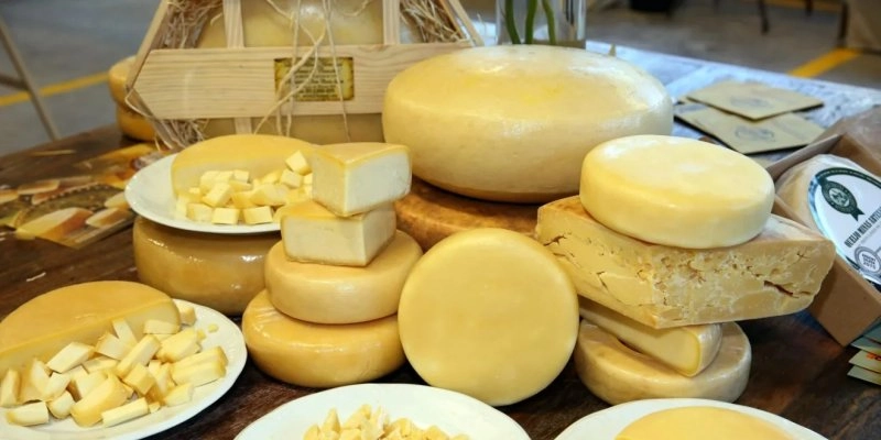 Primeira edição do Salão do Queijo potencializa a produção local e dá visibilidade aos queijos da Paraíba 