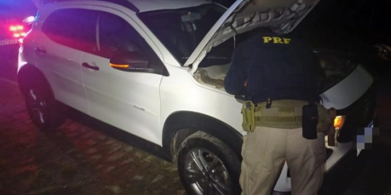 PRF na Paraíba detém homem por violência doméstica, resgata aves silvestres e apreende veículos adulterados