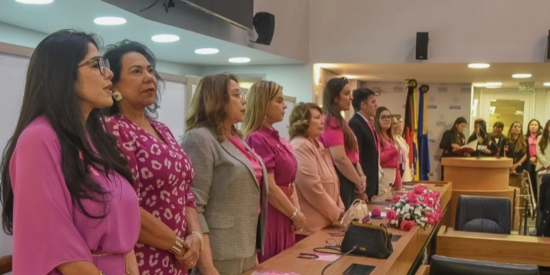ALPB realiza sessão especial em alusão ao Outubro Rosa e homenageia ONGs