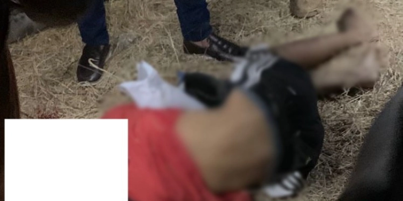 Violência no Trânsito – Forte colisão entre moto e carreta tira a vida de jovem em Marizópolis