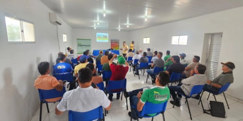 Governo promove curso de capacitação sobre caprinos leiteiros e ovinos de corte