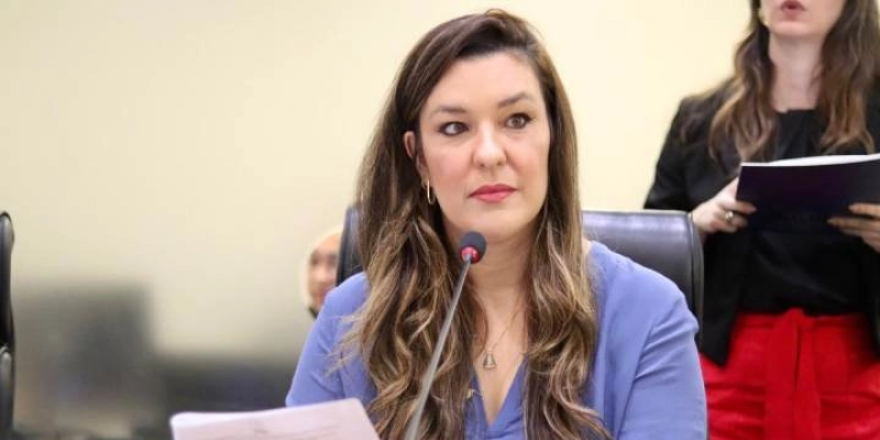 Lei de Camila Toscano incentiva transição para energia limpa na Paraíba