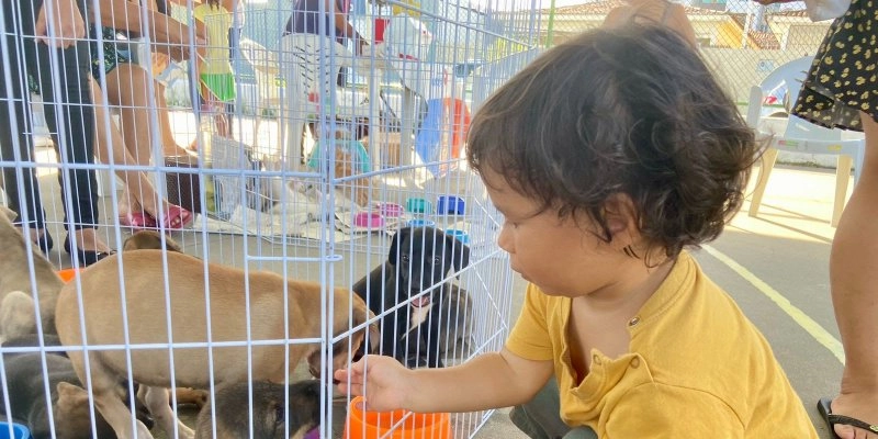 Paraíba Pet atualiza e recebe novos cadastros de tutores e protetores para serviço de castração de animais