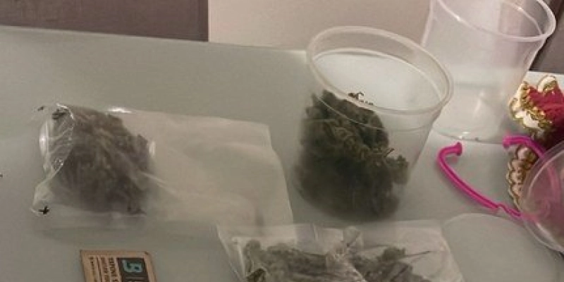 Polícia Civil prende investigados por tráfico de drogas em festas, bares e universidades