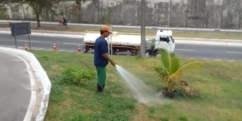Sedurb adota cuidados especiais para evitar danos a espécies arbóreas durante dias de calor excessivo