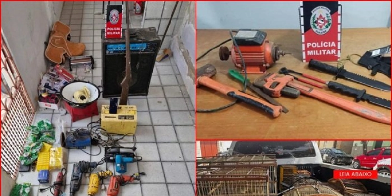 Polícia apreende arma, pássaros silvestres e objetos possivelmente roubados em Santa Luzia
