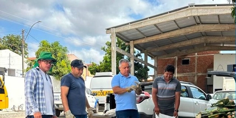 Prefeitura de São Francisco distribui palma forrageira para fortalecer agropecuária local