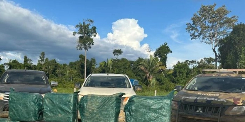PF, em ação conjunta, apreende cerca de 500 kg de drogas