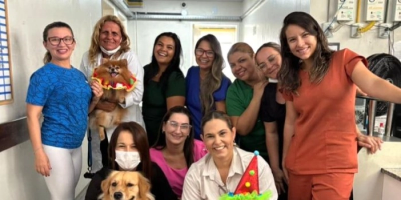 Pacientes do Hospital Geral e do Câncer recebem visita do grupo de terapia ocupacional com cães